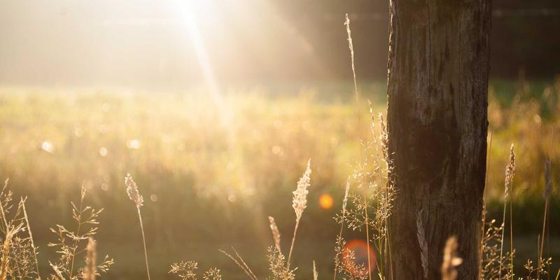 TBD36035：社交媒体管理与品牌策划的协同驱动，释放TBD360增长潜能