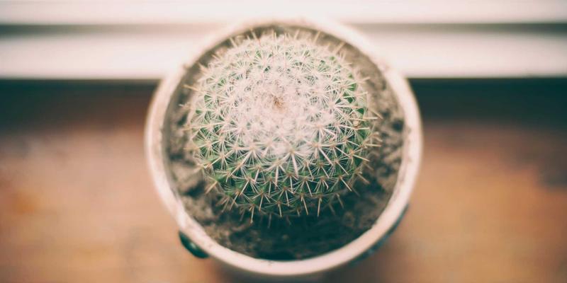 TBD36072：解锁内容营销与数字营销融合增长的新范式