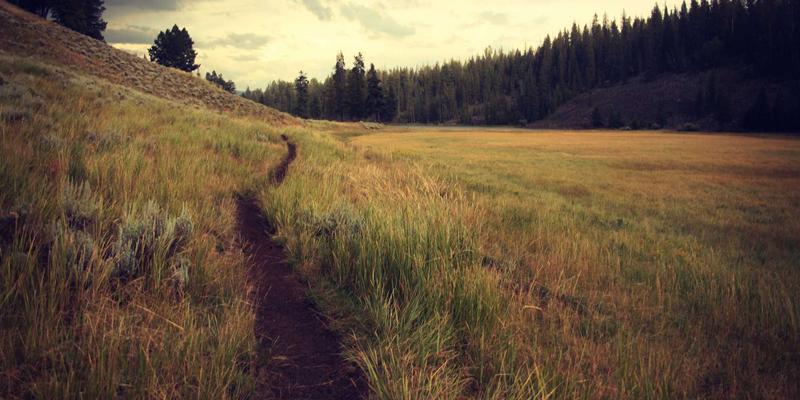 TBD360数据中台：打破数据孤岛，重塑网络营销与品牌战略的统一视图