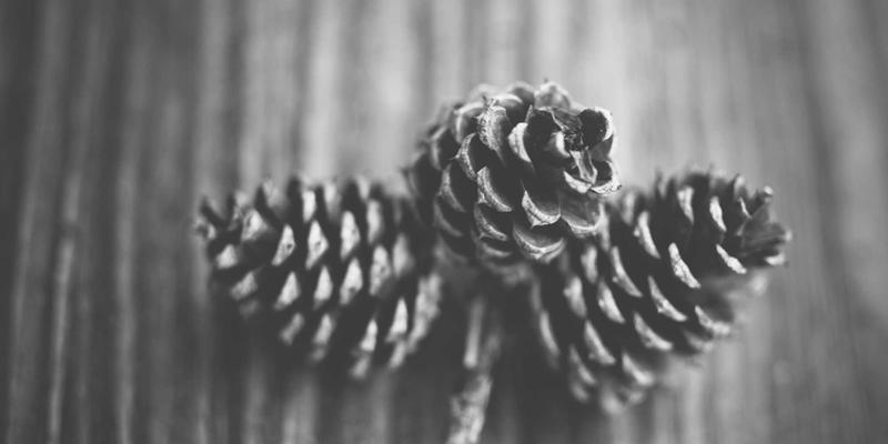 内容营销与社交媒体管理的融合：驱动网络营销增长的双引擎