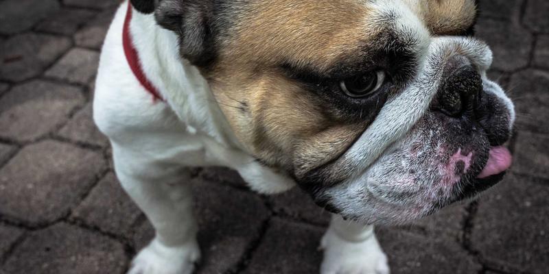 如何利用TBD360绘制多触点客户旅程地图：整合SEO优化与社交媒体管理的品牌战略